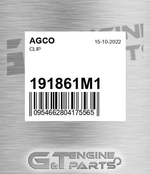 191861M1 Clip for AGCO