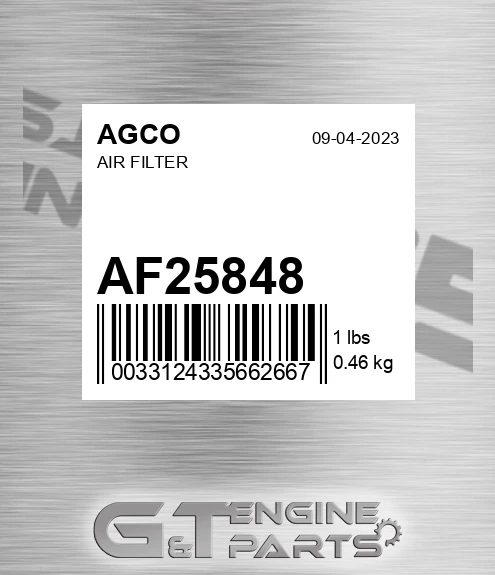 AF25848 AGCO Air Filter