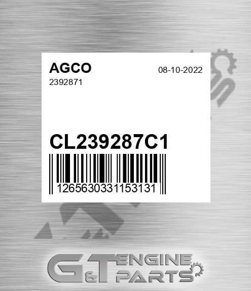 CL239287C1 2392871