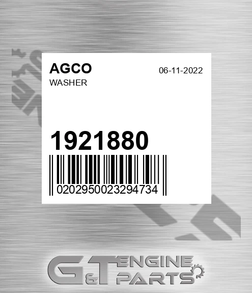 1921880 Washer for AGCO