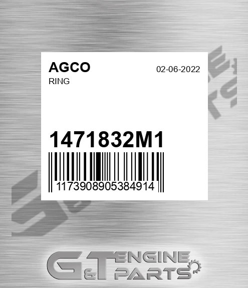 1471832M1 AGCO Ring