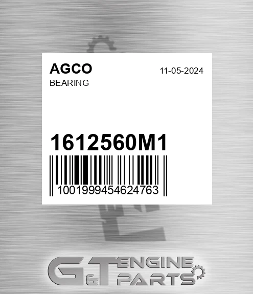 1612560M1 AGCO Bearing
