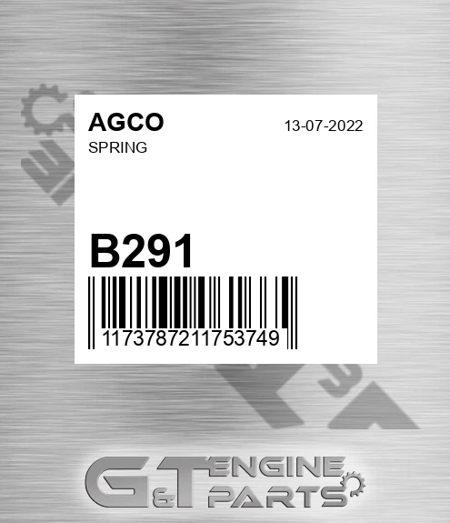 B291 Spring for AGCO