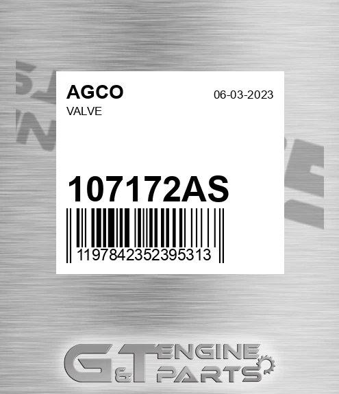 107172AS Valve for AGCO