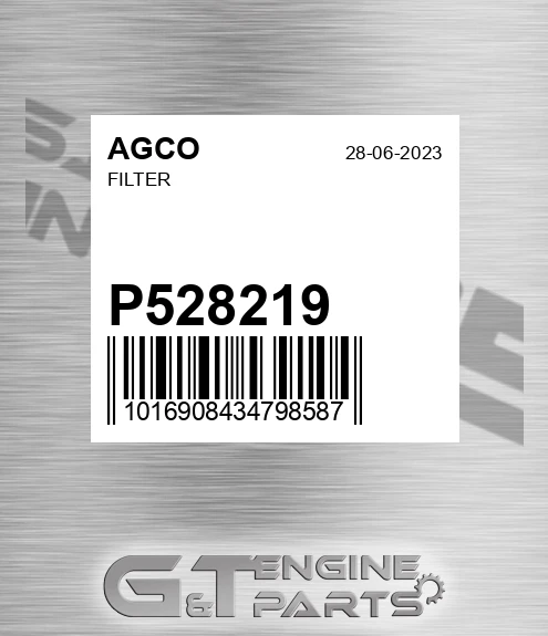 P528219 AGCO Filter