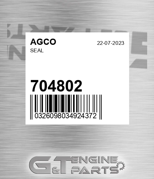 704802 AGCO Seal