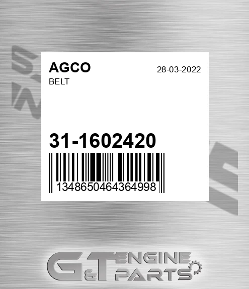 31-1602420 Belt