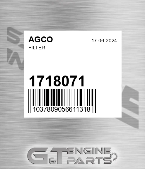 1718071 Filter for AGCO