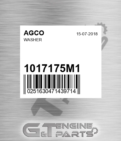 1017175M1 Washer for AGCO