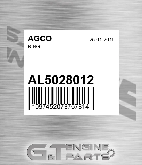 AL5028012 Ring for AGCO