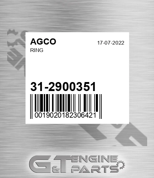 31-2900351 Ring for AGCO