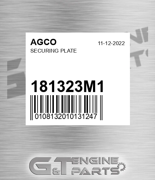 181323M1 Securing Plate for AGCO