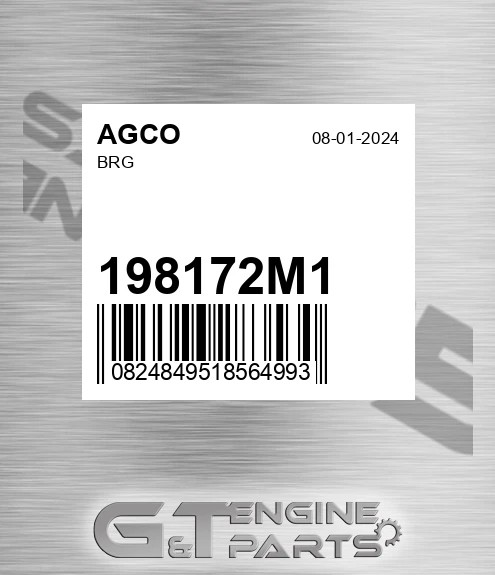 198172M1 Brg for AGCO