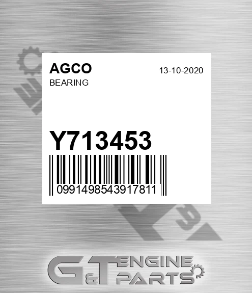 Y713453 Bearing for AGCO