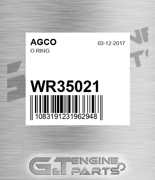 WR35021 O Ring for AGCO