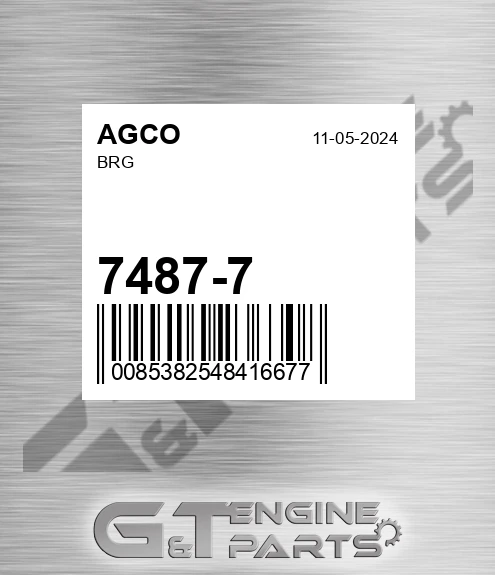 7487-7 Brg for AGCO