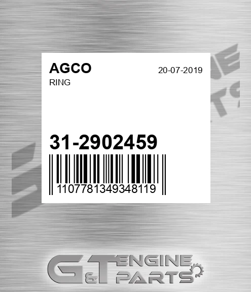 31-2902459 Ring for AGCO