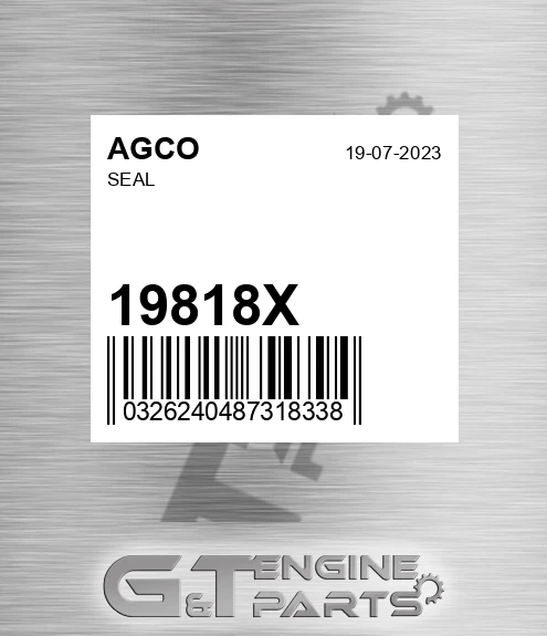 19818X Seal for AGCO
