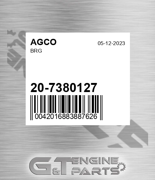 20-7380127 Brg for AGCO