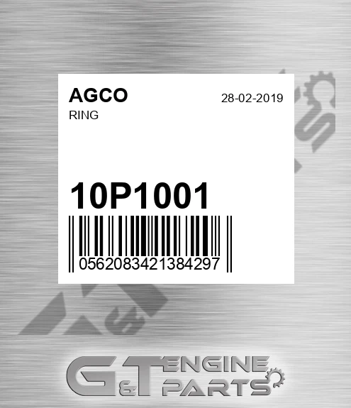 10P1001 AGCO Ring