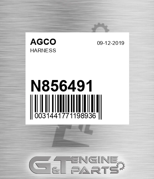 N856491 AGCO Harness