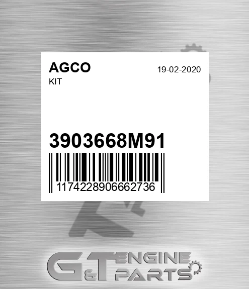 3903668M91 AGCO Kit