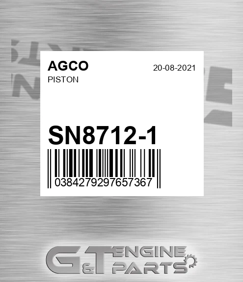SN8712-1 Piston for AGCO