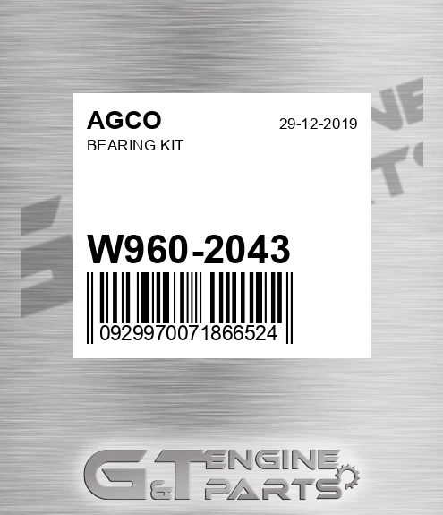 W960-2043 Bearing Kit for AGCO