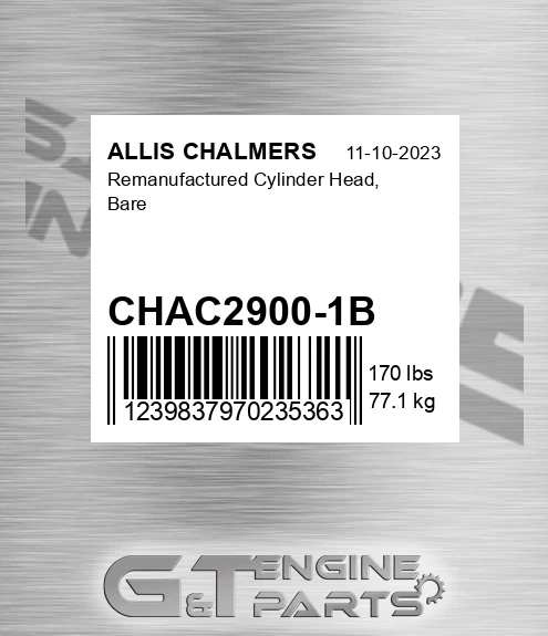 CHAC2900-1B Remanufactured Cylinder Head, Bare