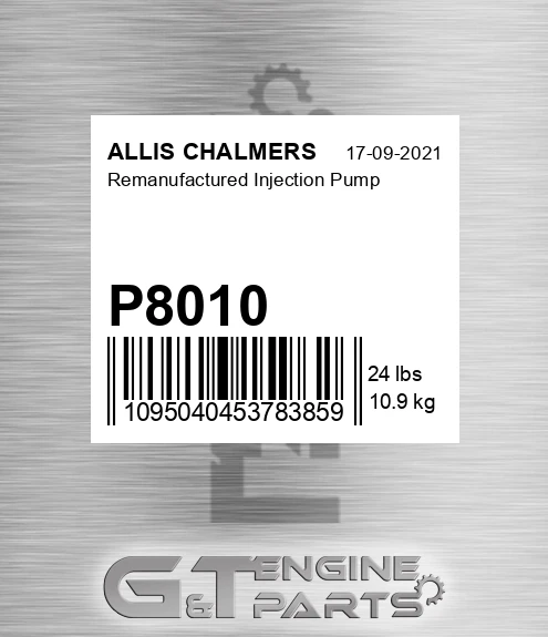 P8010 Remanufactured Injection Pump