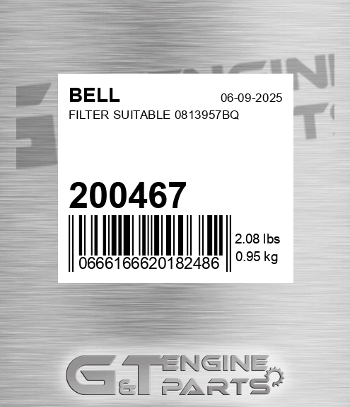 200467 Filter Suitable 0813957bq