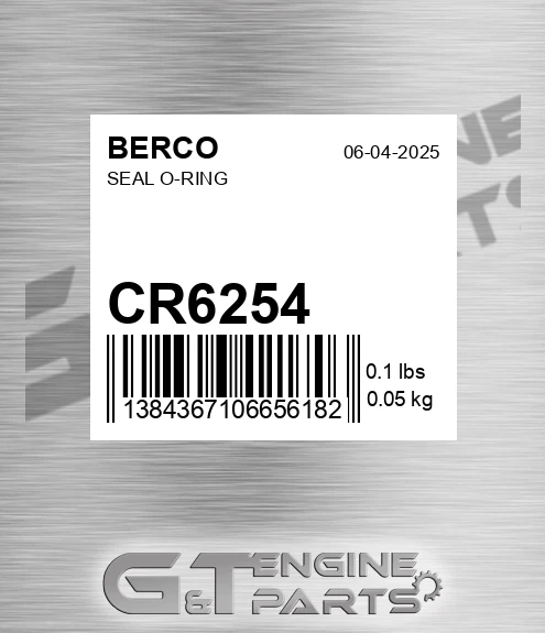 CR6254 Seal O-ring