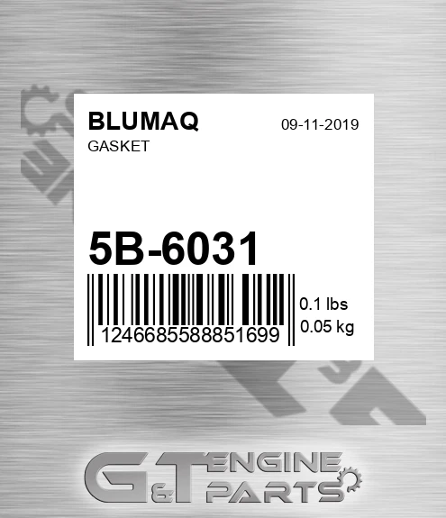 5B-6031 BLUMAQ Gasket