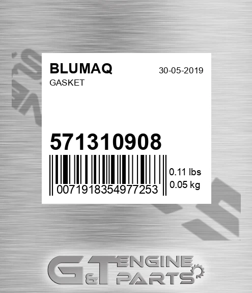 571310908 Gasket for BLUMAQ
