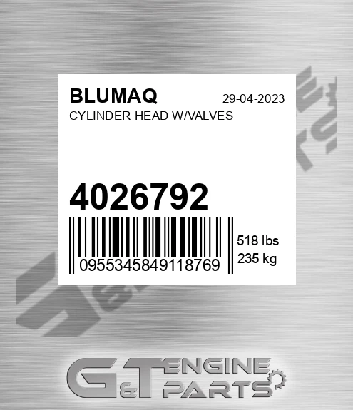 4026792 BLUMAQ Cylinder Head W/valves