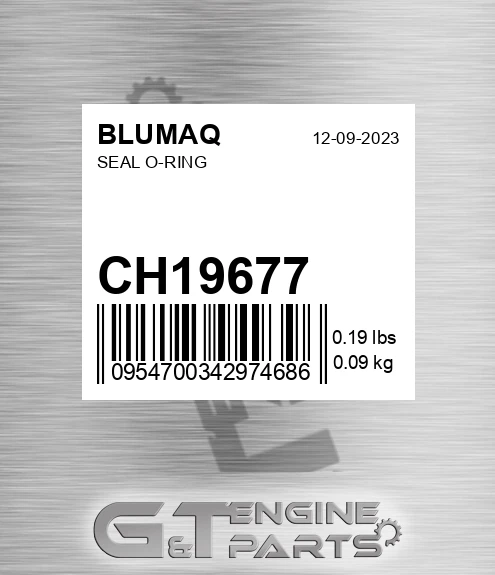 CH19677 Seal O-ring