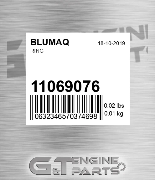 11069076 Ring