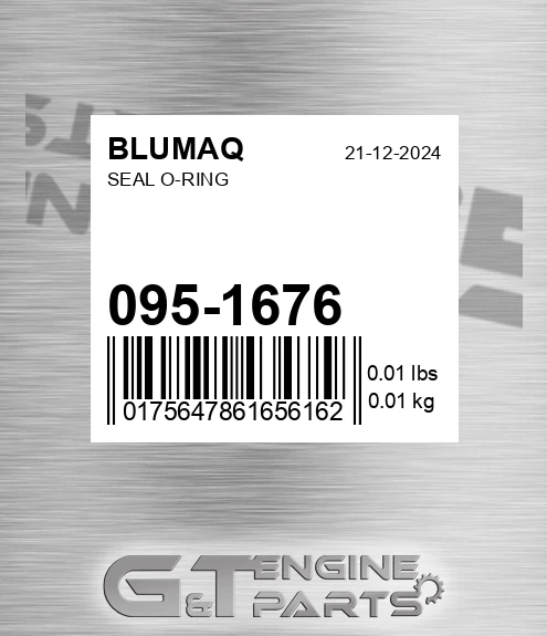 095-1676 Seal O-ring for BLUMAQ