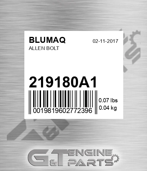 219180A1 Allen Bolt for BLUMAQ