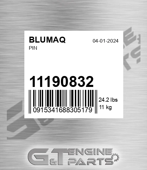 11190832 BLUMAQ Pin