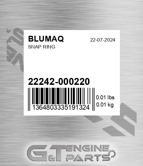 22242-000220 Snap Ring for BLUMAQ
