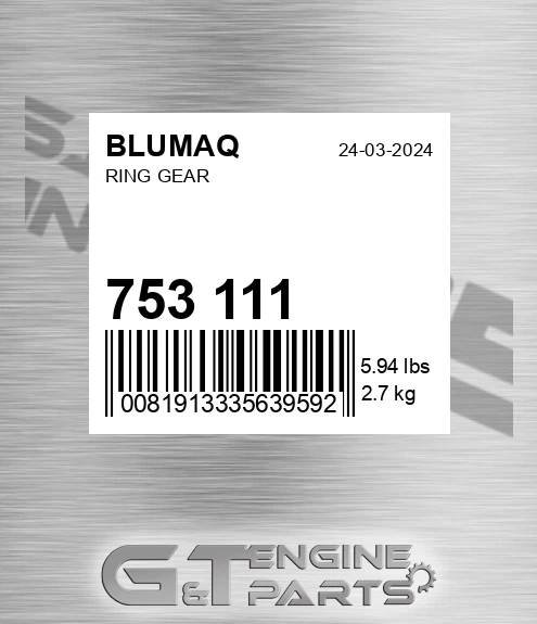 75311-1 Ring Gear