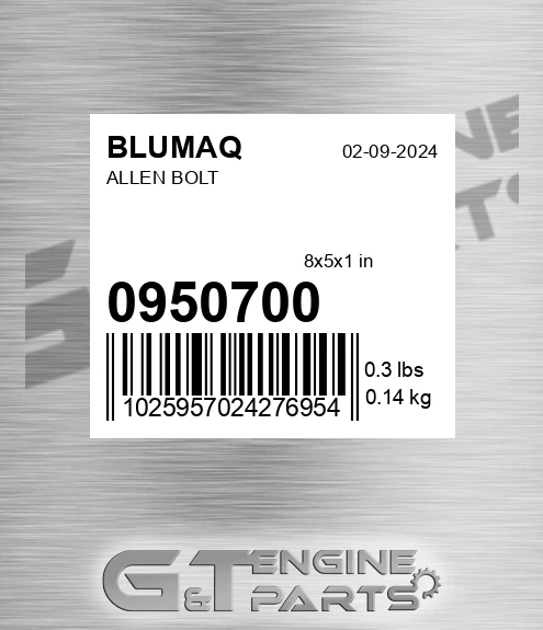 095-0700 Allen Bolt