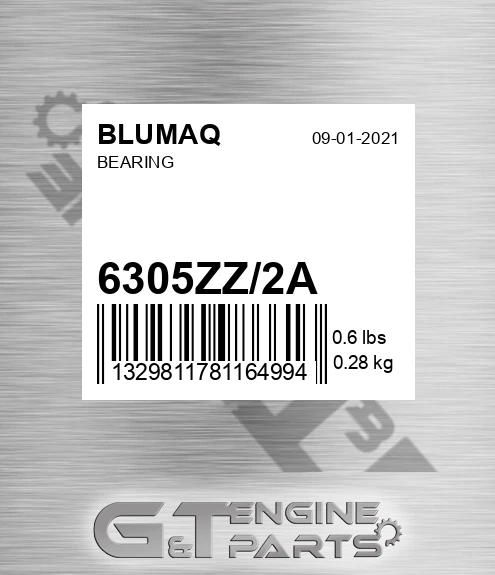 6305ZZ/2A Bearing for BLUMAQ