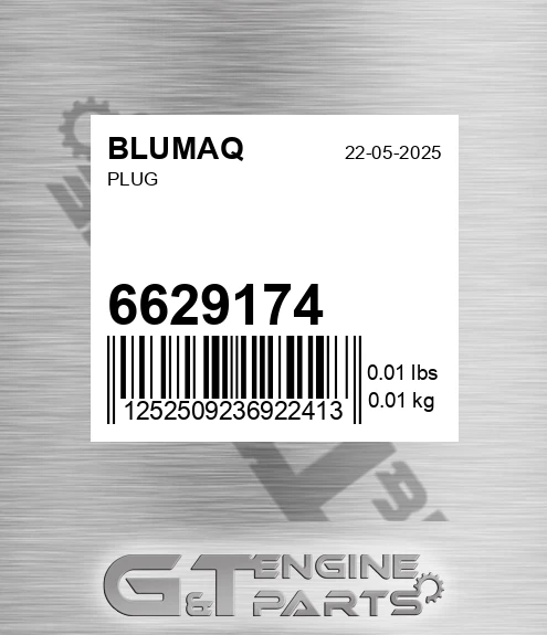 6629174 Plug for BLUMAQ