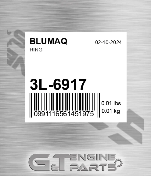 3L-6917 Ring for BLUMAQ