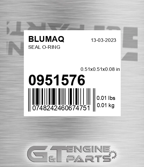 095-1576 Seal O-ring for BLUMAQ