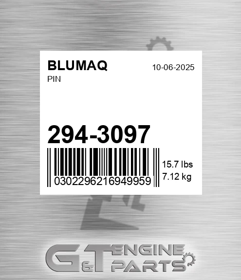 294-3097 BLUMAQ Pin