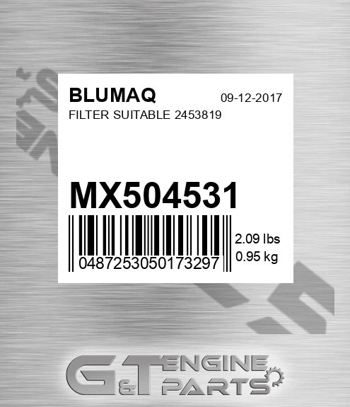 MX504531 BLUMAQ Filter Suitable 2453819