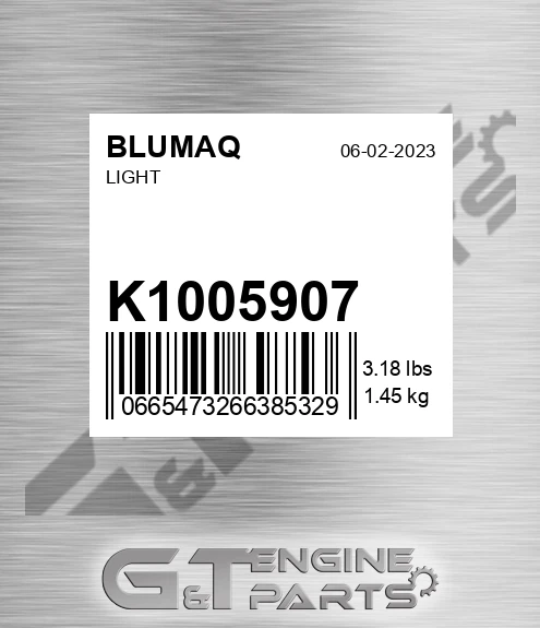 K1005907 Light